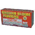 Ground Bloom Flowers