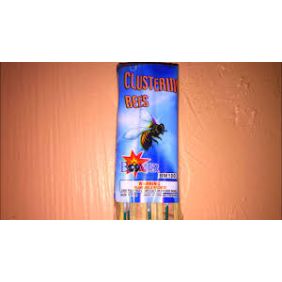 CLUSTER BEES