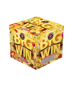 Big Win 500 G Aerial Repeater Raccoon