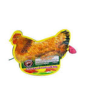 Chicken Lay Egg