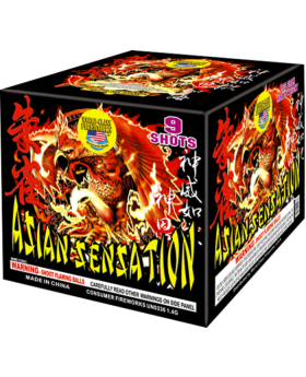 Asian Sensation 500 Gram Aerial Repeaters World Class