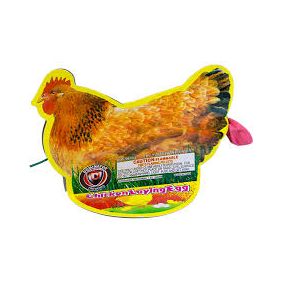 Chicken Lay Egg