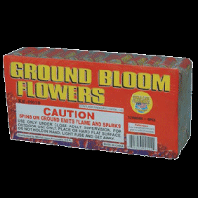 Ground Bloom Flowers