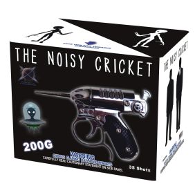 The Noisy Cricket